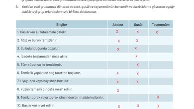 9. Sınıf Meb Yayınları Temel Dini Bilgiler Ders Kitabı Sayfa 84 Cevapları