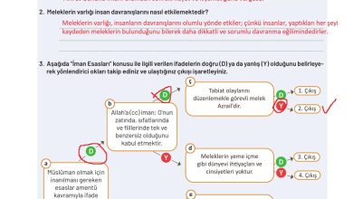 9. Sınıf Meb Yayınları Temel Dini Bilgiler Ders Kitabı Sayfa 63 Cevapları