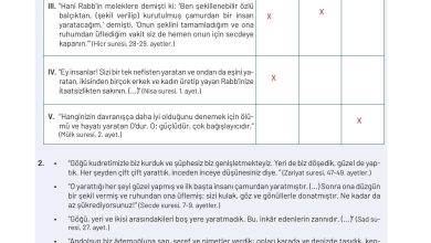 9. Sınıf Meb Yayınları Temel Dini Bilgiler Ders Kitabı Sayfa 18 Cevapları