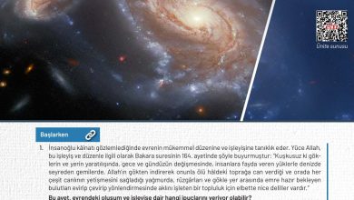 9. Sınıf Meb Yayınları Temel Dini Bilgiler Ders Kitabı Sayfa 11 Cevapları