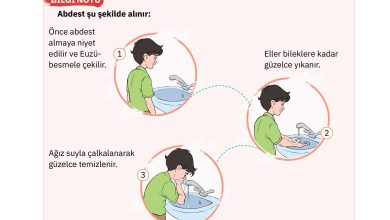 4. Sınıf Sdr Dikey Yayıncılık Din Kültürü Ve Ahlak Bilgisi Ders Kitabı Sayfa 120 Cevapları