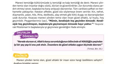 4. Sınıf Sdr Dikey Yayıncılık Din Kültürü Ve Ahlak Bilgisi Ders Kitabı Sayfa 118 Cevapları