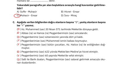 4. Sınıf Sdr Dikey Yayıncılık Din Kültürü Ve Ahlak Bilgisi Ders Kitabı Sayfa 116 Cevapları