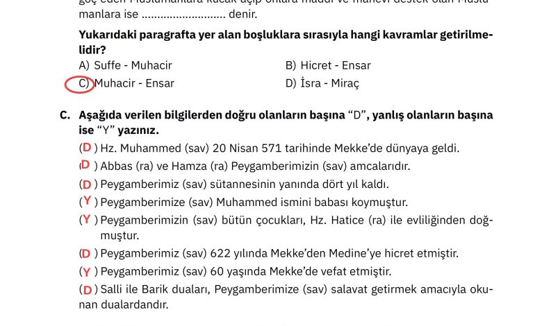 4. Sınıf Sdr Dikey Yayıncılık Din Kültürü Ve Ahlak Bilgisi Ders Kitabı Sayfa 116 Cevapları