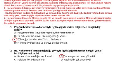 4. Sınıf Sdr Dikey Yayıncılık Din Kültürü Ve Ahlak Bilgisi Ders Kitabı Sayfa 115 Cevapları