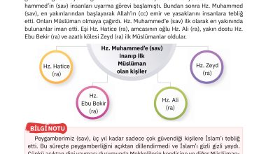 4. Sınıf Sdr Dikey Yayıncılık Din Kültürü Ve Ahlak Bilgisi Ders Kitabı Sayfa 107 Cevapları