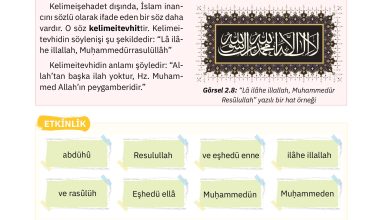 4. Sınıf Sdr Dikey Yayıncılık Din Kültürü Ve Ahlak Bilgisi Ders Kitabı Sayfa 47 Cevapları