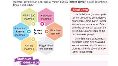 4. Sınıf Sdr Dikey Yayıncılık Din Kültürü Ve Ahlak Bilgisi Ders Kitabı Sayfa 38 Cevapları