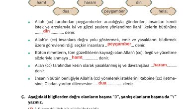 4. Sınıf Sdr Dikey Yayıncılık Din Kültürü Ve Ahlak Bilgisi Ders Kitabı Sayfa 36 Cevapları