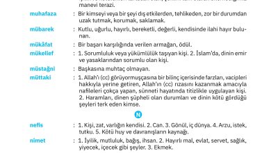 4. Sınıf Sdr Dikey Yayıncılık Din Kültürü Ve Ahlak Bilgisi Ders Kitabı Sayfa 140 Cevapları