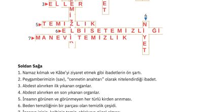 4. Sınıf Sdr Dikey Yayıncılık Din Kültürü Ve Ahlak Bilgisi Ders Kitabı Sayfa 135 Cevapları