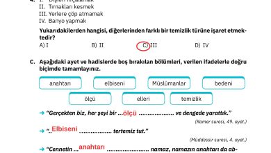 4. Sınıf Sdr Dikey Yayıncılık Din Kültürü Ve Ahlak Bilgisi Ders Kitabı Sayfa 134 Cevapları