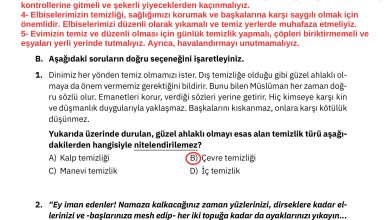 4. Sınıf Sdr Dikey Yayıncılık Din Kültürü Ve Ahlak Bilgisi Ders Kitabı Sayfa 133 Cevapları