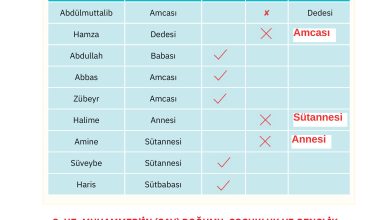 4. Sınıf Sdr Dikey Yayıncılık Din Kültürü Ve Ahlak Bilgisi Ders Kitabı Sayfa 98 Cevapları