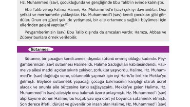 4. Sınıf Sdr Dikey Yayıncılık Din Kültürü Ve Ahlak Bilgisi Ders Kitabı Sayfa 97 Cevapları