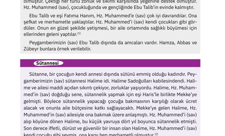 4. Sınıf Sdr Dikey Yayıncılık Din Kültürü Ve Ahlak Bilgisi Ders Kitabı Sayfa 97 Cevapları