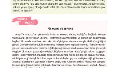 4. Sınıf Sdr Dikey Yayıncılık Din Kültürü Ve Ahlak Bilgisi Ders Kitabı Sayfa 95 Cevapları