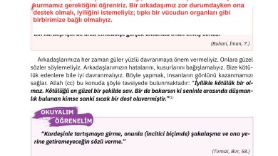 4. Sınıf Sdr Dikey Yayıncılık Din Kültürü Ve Ahlak Bilgisi Ders Kitabı Sayfa 82 Cevapları