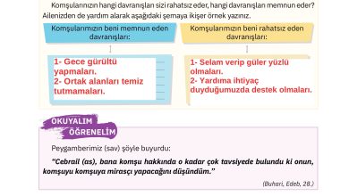 4. Sınıf Sdr Dikey Yayıncılık Din Kültürü Ve Ahlak Bilgisi Ders Kitabı Sayfa 80 Cevapları