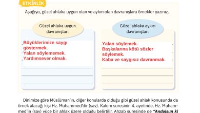 4. Sınıf Sdr Dikey Yayıncılık Din Kültürü Ve Ahlak Bilgisi Ders Kitabı Sayfa 67 Cevapları