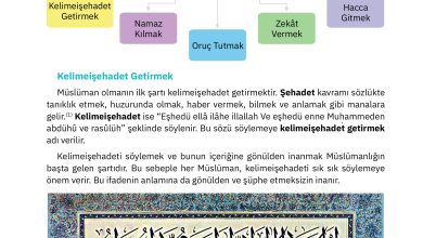 4. Sınıf Sdr Dikey Yayıncılık Din Kültürü Ve Ahlak Bilgisi Ders Kitabı Sayfa 46 Cevapları