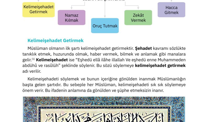 4. Sınıf Sdr Dikey Yayıncılık Din Kültürü Ve Ahlak Bilgisi Ders Kitabı Sayfa 46 Cevapları