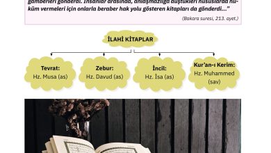 4. Sınıf Sdr Dikey Yayıncılık Din Kültürü Ve Ahlak Bilgisi Ders Kitabı Sayfa 41 Cevapları