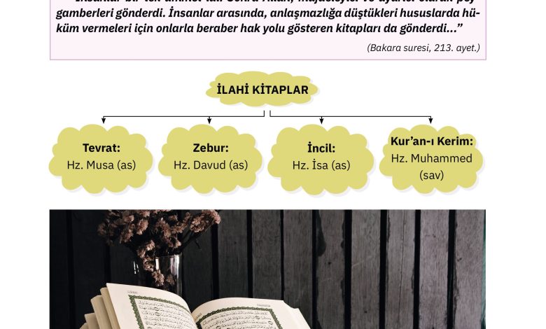 4. Sınıf Sdr Dikey Yayıncılık Din Kültürü Ve Ahlak Bilgisi Ders Kitabı Sayfa 41 Cevapları