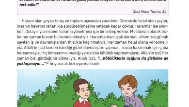 4. Sınıf Sdr Dikey Yayıncılık Din Kültürü Ve Ahlak Bilgisi Ders Kitabı Sayfa 29 Cevapları