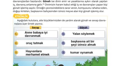 4. Sınıf Sdr Dikey Yayıncılık Din Kültürü Ve Ahlak Bilgisi Ders Kitabı Sayfa 28 Cevapları