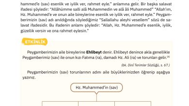 4. Sınıf Sdr Dikey Yayıncılık Din Kültürü Ve Ahlak Bilgisi Ders Kitabı Sayfa 24 Cevapları