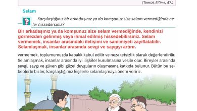 4. Sınıf Sdr Dikey Yayıncılık Din Kültürü Ve Ahlak Bilgisi Ders Kitabı Sayfa 17 Cevapları