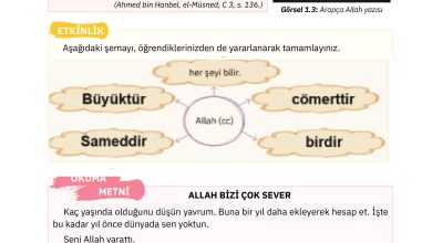 4. Sınıf Sdr Dikey Yayıncılık Din Kültürü Ve Ahlak Bilgisi Ders Kitabı Sayfa 14 Cevapları