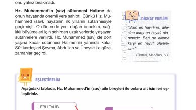 4. Sınıf Meb Yayınları Din Kültürü Ve Ahlak Bilgisi Ders Kitabı Sayfa 86 Cevapları