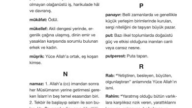 4. Sınıf Meb Yayınları Din Kültürü Ve Ahlak Bilgisi Ders Kitabı Sayfa 127 Cevapları