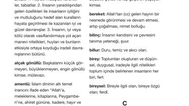 4. Sınıf Meb Yayınları Din Kültürü Ve Ahlak Bilgisi Ders Kitabı Sayfa 124 Cevapları