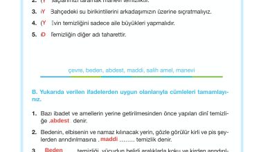 4. Sınıf Meb Yayınları Din Kültürü Ve Ahlak Bilgisi Ders Kitabı Sayfa 120 Cevapları