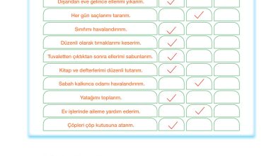 4. Sınıf Meb Yayınları Din Kültürü Ve Ahlak Bilgisi Ders Kitabı Sayfa 117 Cevapları