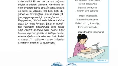 4. Sınıf Meb Yayınları Din Kültürü Ve Ahlak Bilgisi Ders Kitabı Sayfa 109 Cevapları