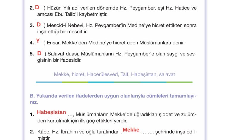 4. Sınıf Meb Yayınları Din Kültürü Ve Ahlak Bilgisi Ders Kitabı Sayfa 102 Cevapları