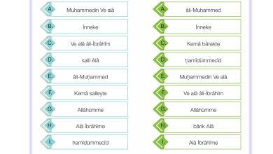 4. Sınıf Meb Yayınları Din Kültürü Ve Ahlak Bilgisi Ders Kitabı Sayfa 101 Cevapları