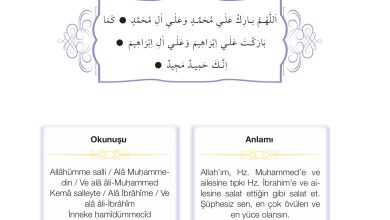 4. Sınıf Meb Yayınları Din Kültürü Ve Ahlak Bilgisi Ders Kitabı Sayfa 100 Cevapları