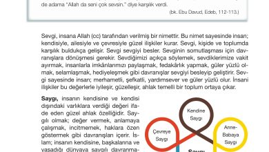 4. Sınıf Meb Yayınları Din Kültürü Ve Ahlak Bilgisi Ders Kitabı Sayfa 61 Cevapları