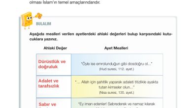 4. Sınıf Meb Yayınları Din Kültürü Ve Ahlak Bilgisi Ders Kitabı Sayfa 59 Cevapları