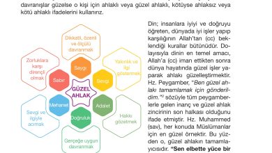 4. Sınıf Meb Yayınları Din Kültürü Ve Ahlak Bilgisi Ders Kitabı Sayfa 58 Cevapları