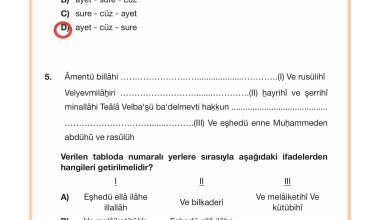 4. Sınıf Meb Yayınları Din Kültürü Ve Ahlak Bilgisi Ders Kitabı Sayfa 54 Cevapları