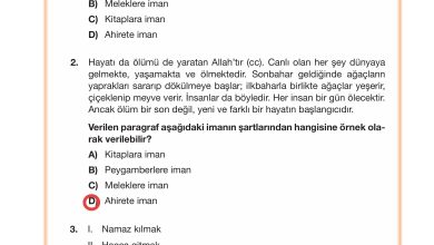 4. Sınıf Meb Yayınları Din Kültürü Ve Ahlak Bilgisi Ders Kitabı Sayfa 53 Cevapları