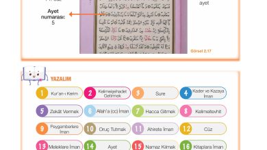 4. Sınıf Meb Yayınları Din Kültürü Ve Ahlak Bilgisi Ders Kitabı Sayfa 50 Cevapları