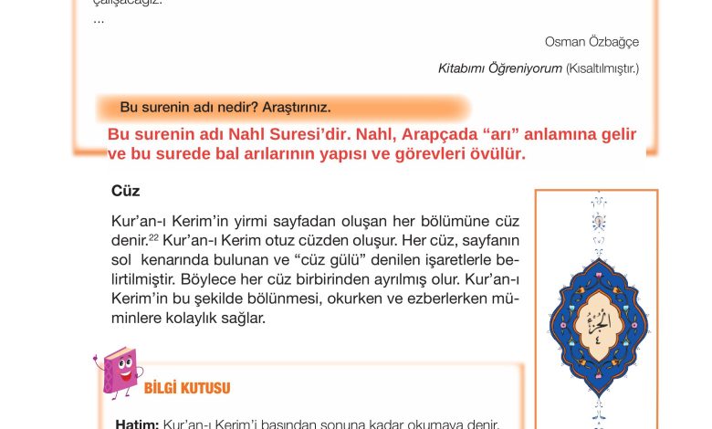 4. Sınıf Meb Yayınları Din Kültürü Ve Ahlak Bilgisi Ders Kitabı Sayfa 49 Cevapları