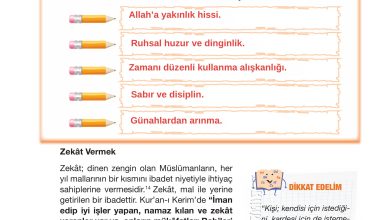 4. Sınıf Meb Yayınları Din Kültürü Ve Ahlak Bilgisi Ders Kitabı Sayfa 43 Cevapları